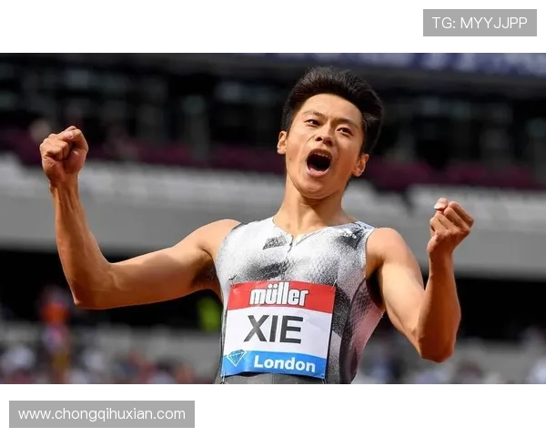 全球体育盛典点燃激情赛场见证速度力量与荣耀的巅峰对决