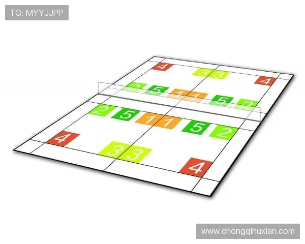 广州羽毛球队控制打法深度分析与战术解读探讨
