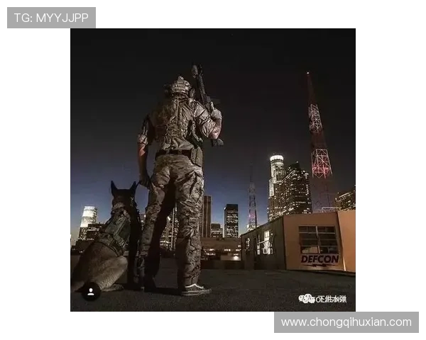 深入分析北京滑板队的战术控制与比赛策略解析