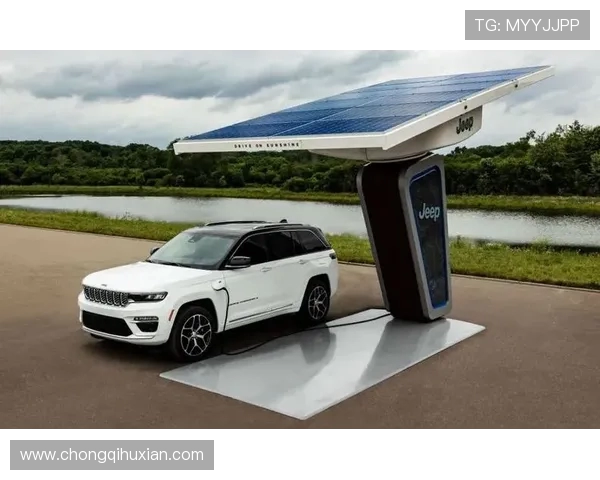 独家解析LNG市场竞争力及其在全球能源格局中的重要角色 独家解析LNG市场竞争力及其在全球能源格局中的重要角色