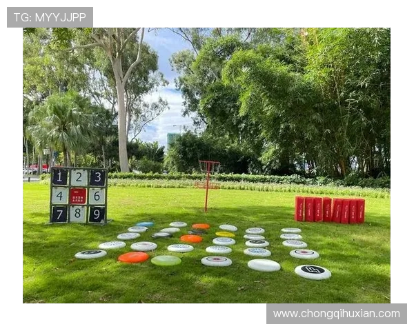 飞盘的魅力与挑战：武汉飞盘队如何实现战术转换与团队协作